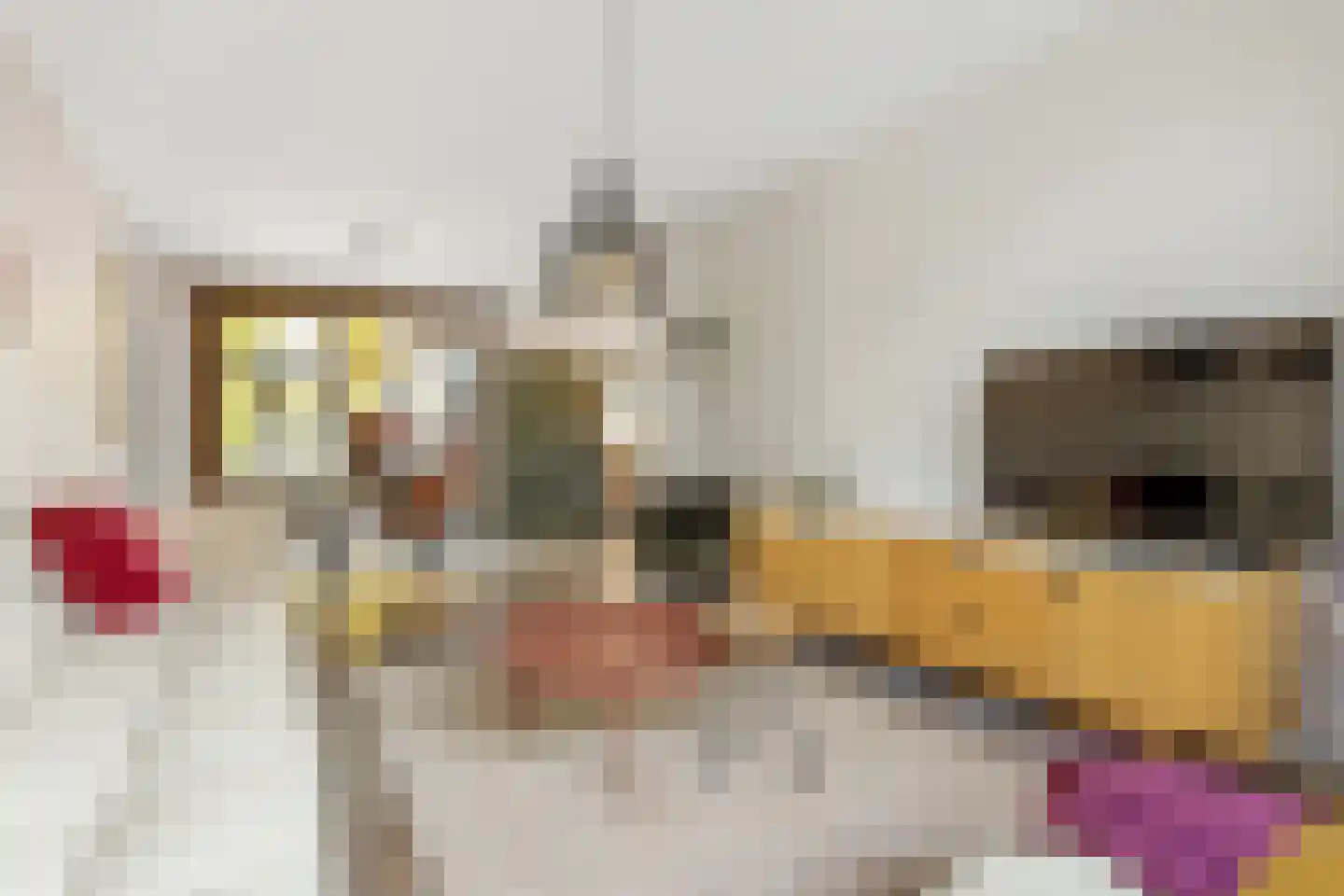 Meidoornlaan 11 Harderwijk thumbnail 10