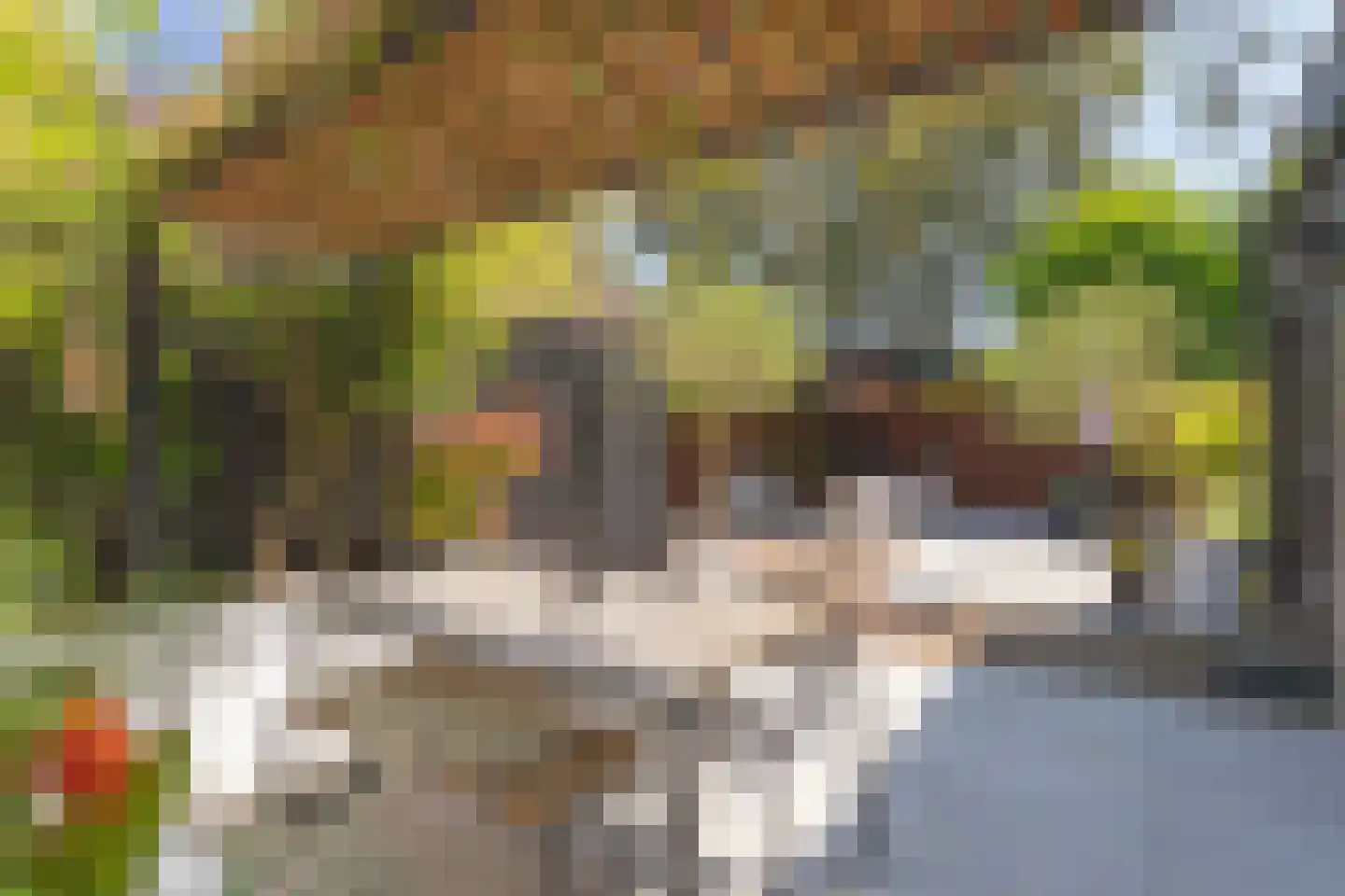 Meidoornlaan 11 Harderwijk thumbnail 33