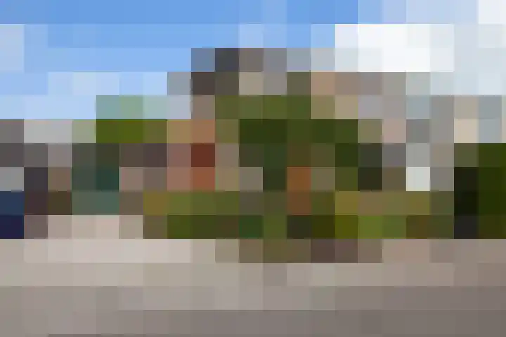 Meidoornlaan 11 Kamerik