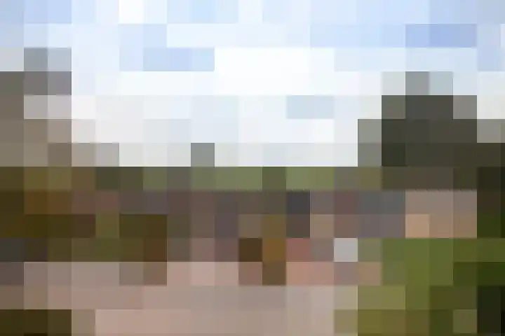Meidoornlaan 11 Kamerik thumbnail 16