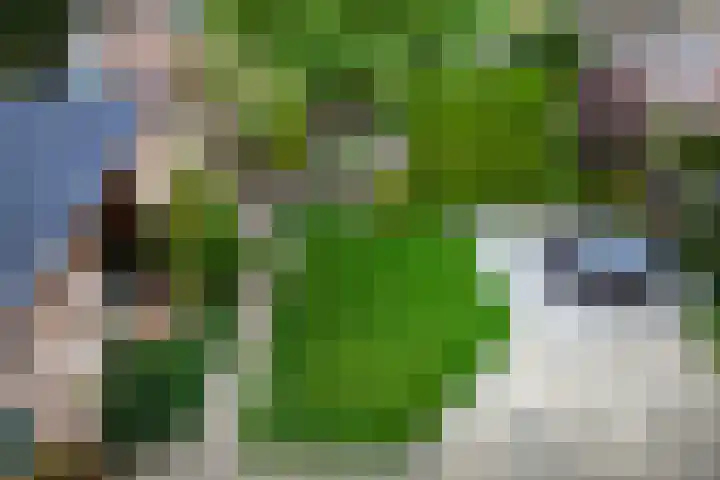Meidoornlaan 11 Kamerik thumbnail 19