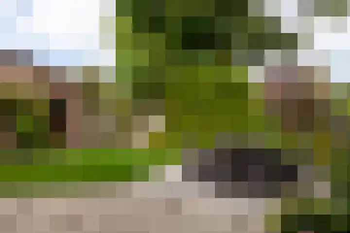 Meidoornlaan 11 Kamerik thumbnail 29