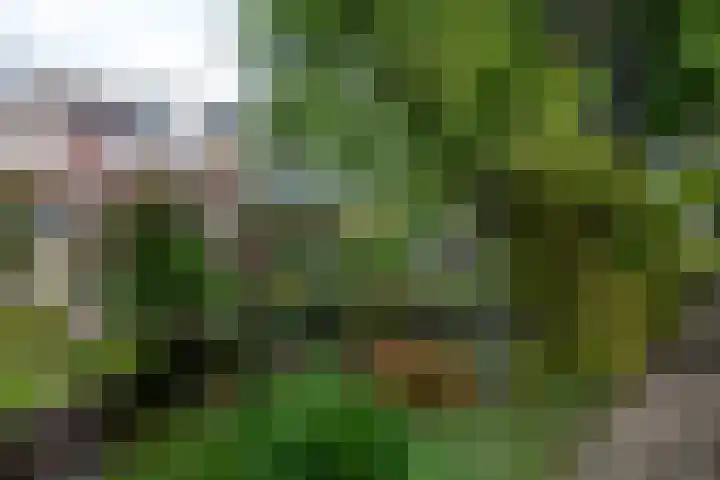 Meidoornlaan 11 Kamerik thumbnail 30