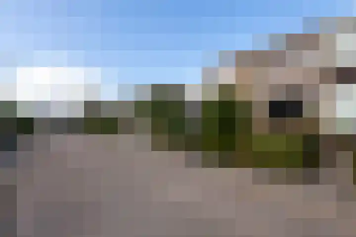 Meidoornlaan 11 Kamerik thumbnail 31