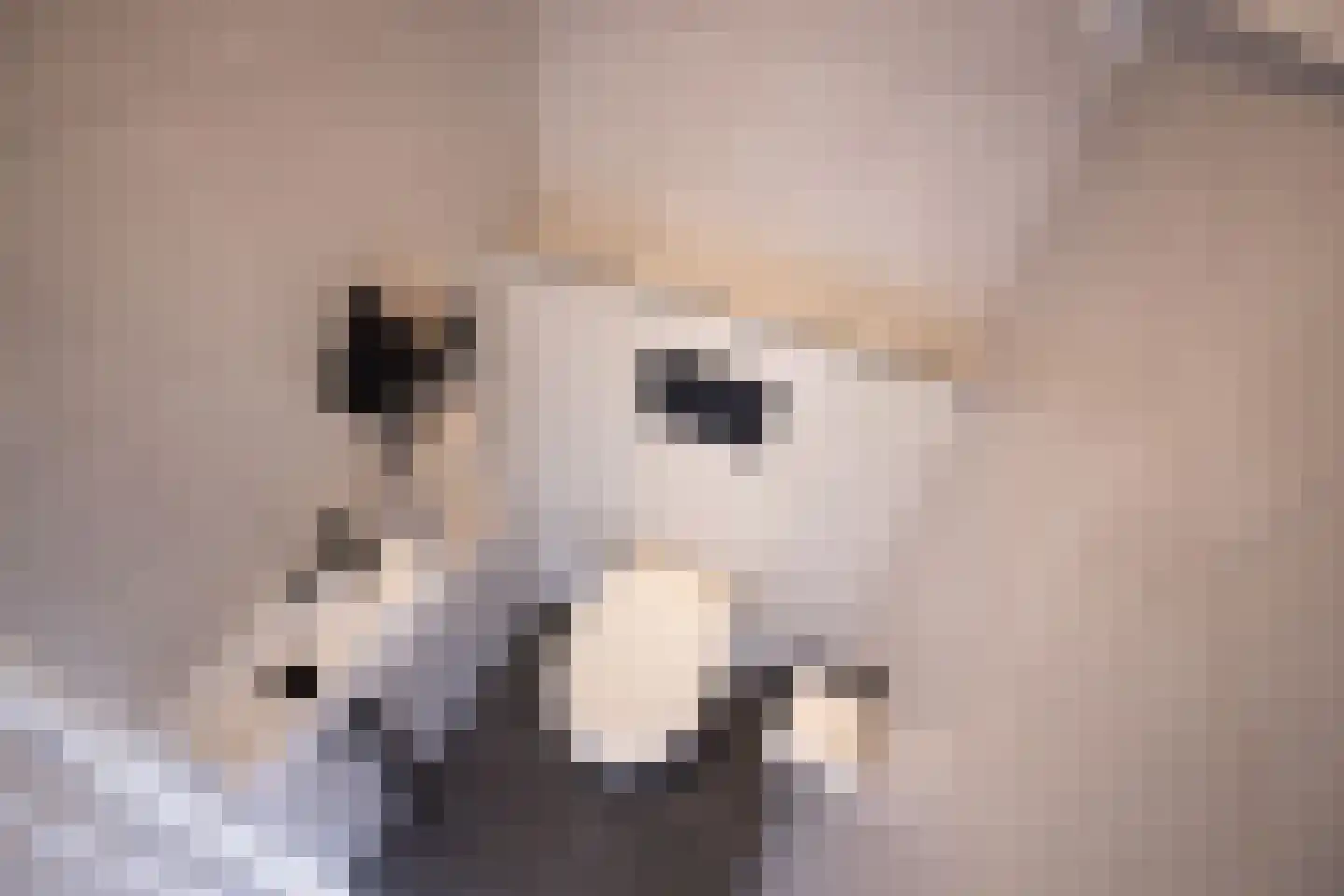 Meidoornlaan 12 Grootebroek thumbnail 13