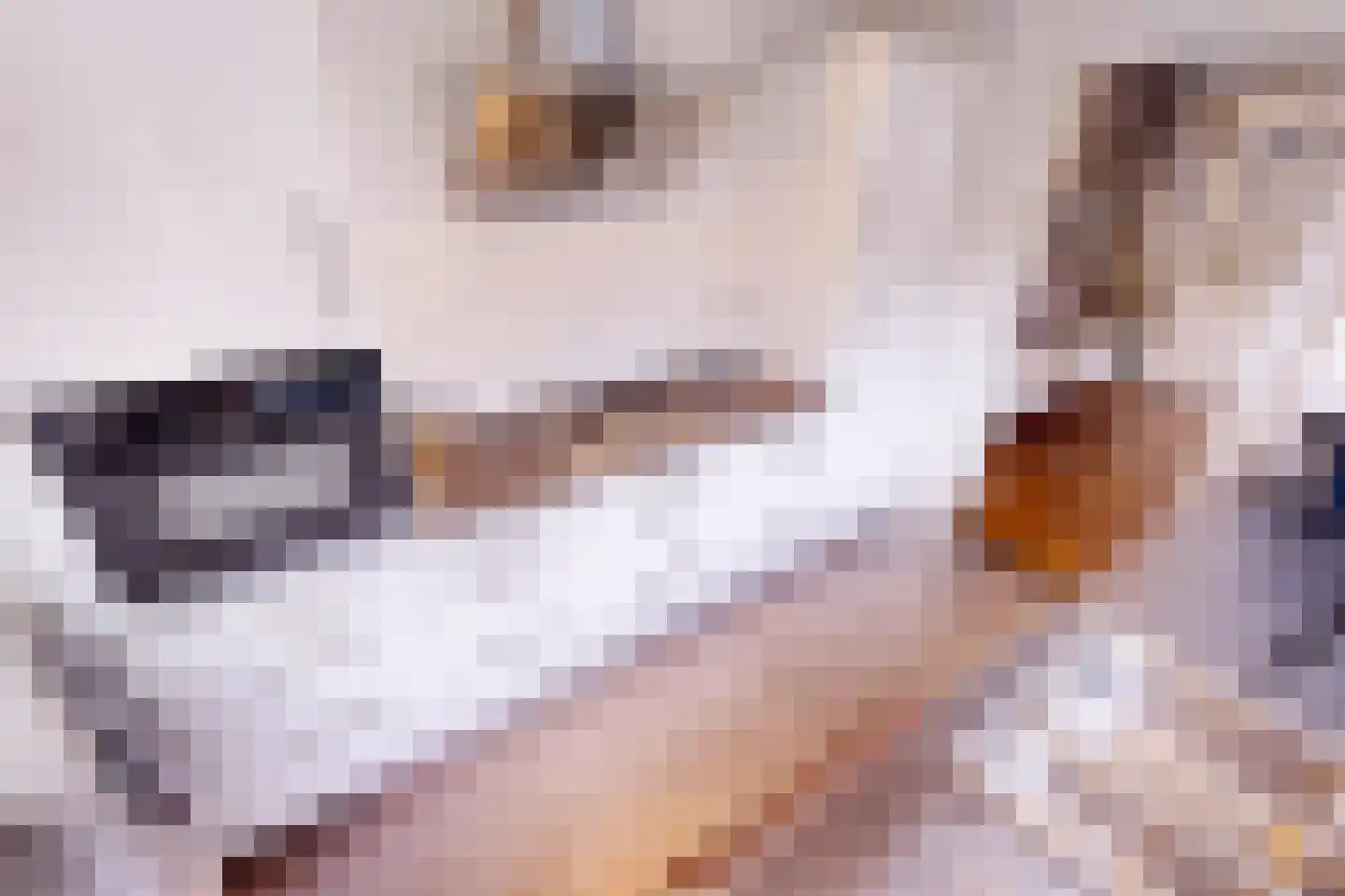 Meidoornlaan 12 Grootebroek thumbnail 27