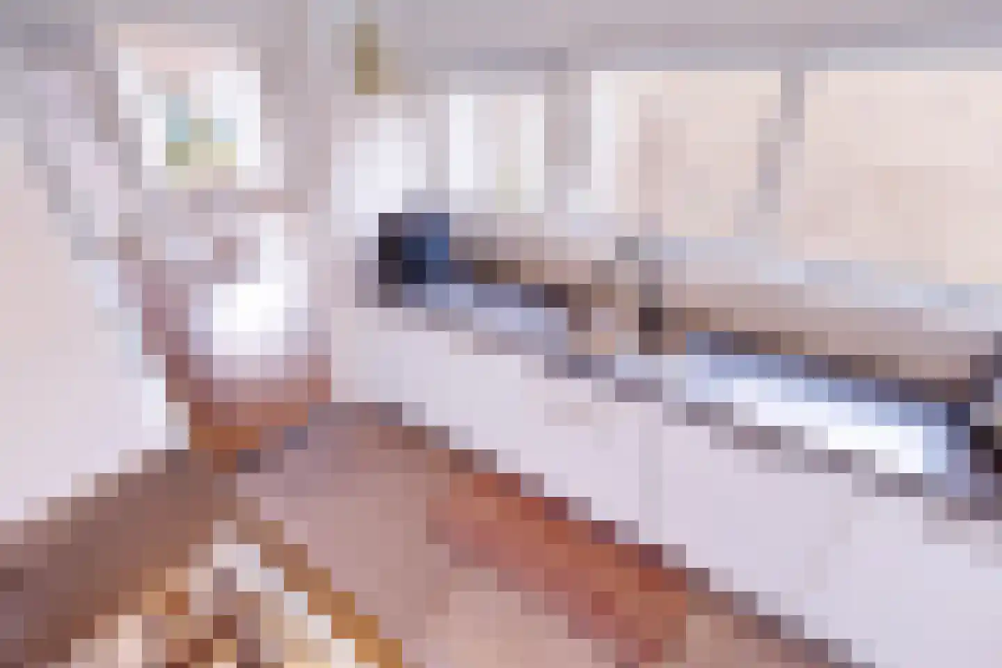 Meidoornlaan 12 Grootebroek thumbnail 29