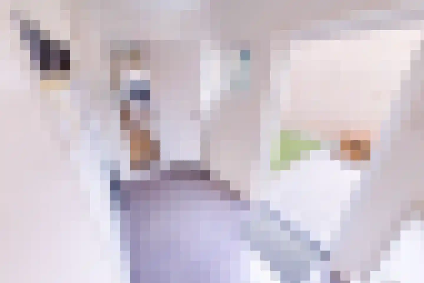 Meidoornlaan 12 Grootebroek thumbnail 30