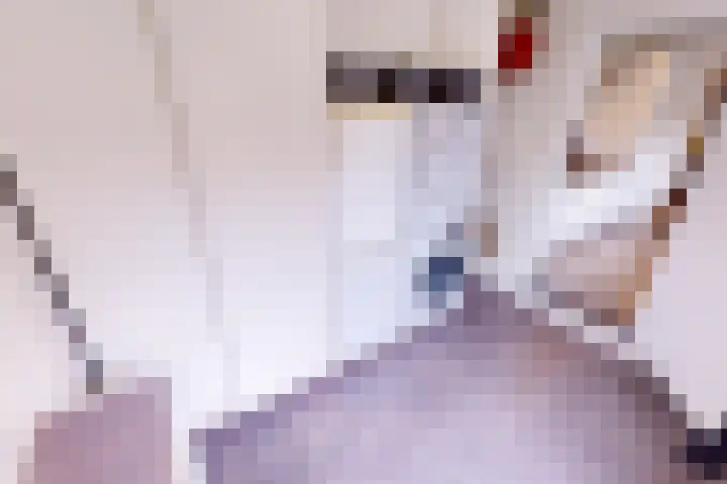 Meidoornlaan 12 Grootebroek thumbnail 31