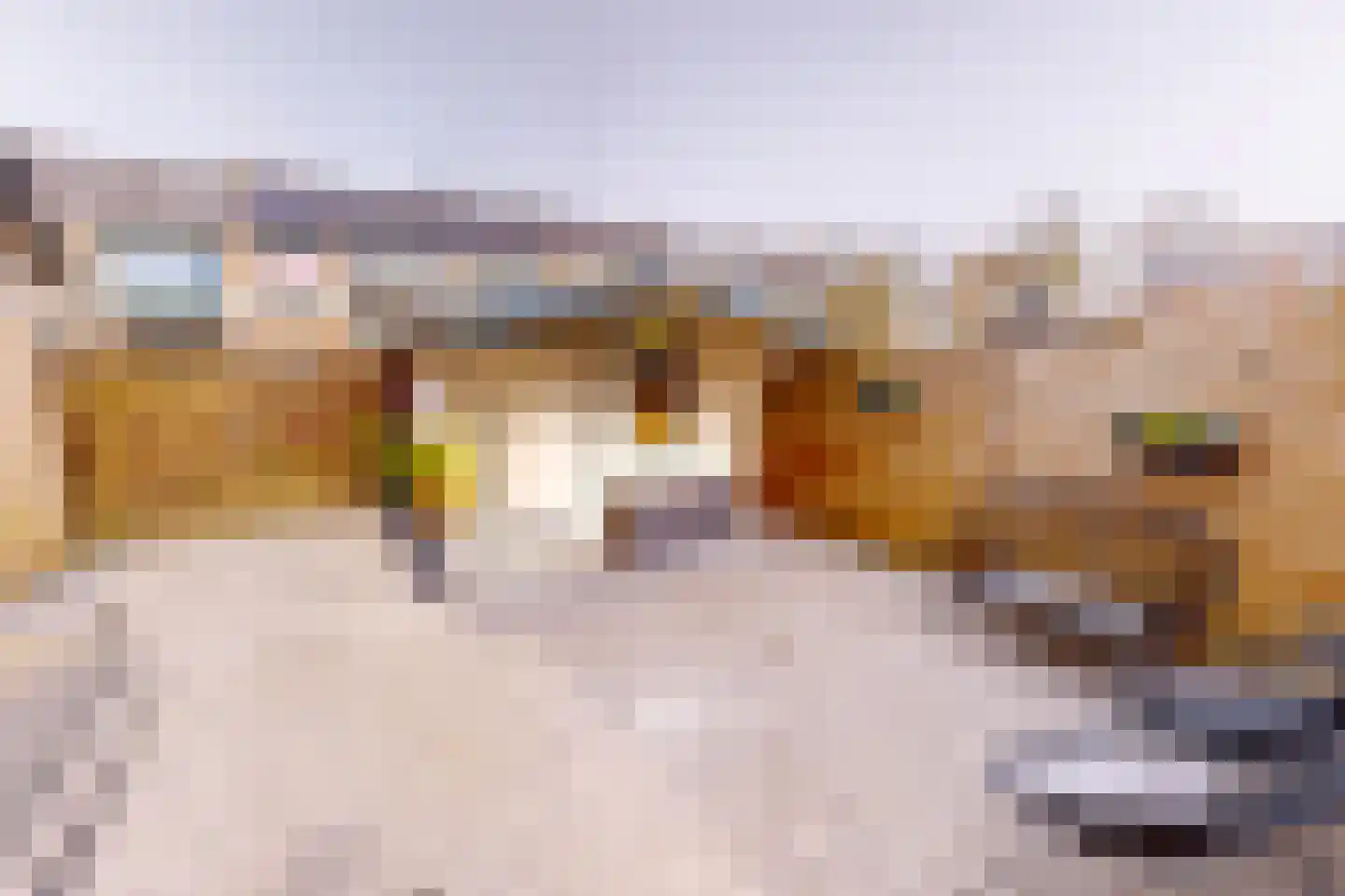 Meidoornlaan 12 Grootebroek thumbnail 40