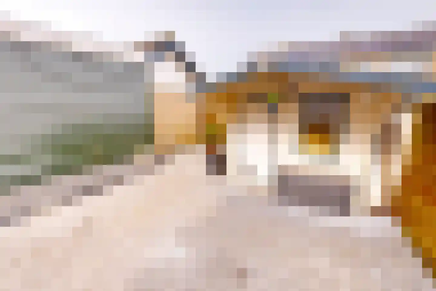 Meidoornlaan 12 Grootebroek thumbnail 41