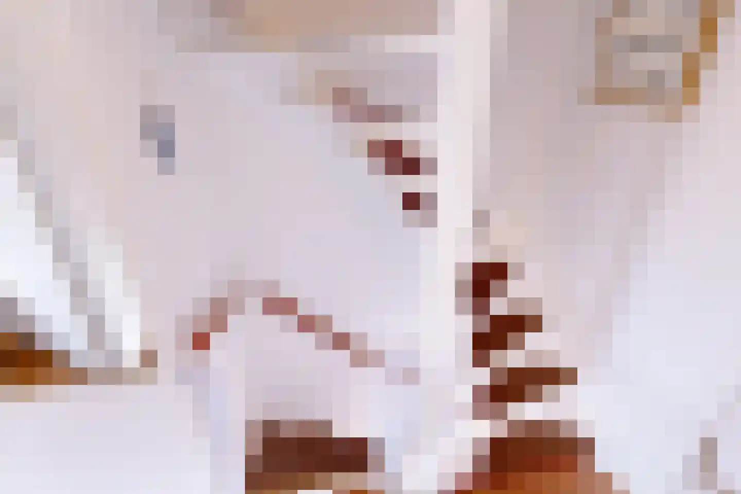 Meidoornlaan 12 Grootebroek thumbnail 43
