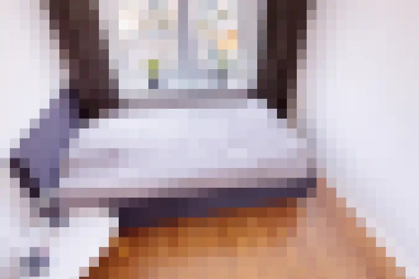 Meidoornlaan 12 Grootebroek thumbnail 47