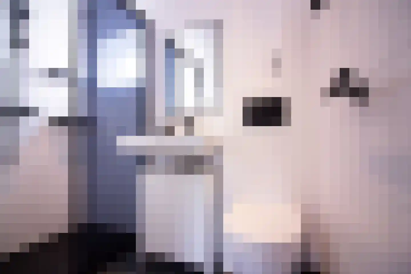Meidoornlaan 12 Grootebroek thumbnail 62