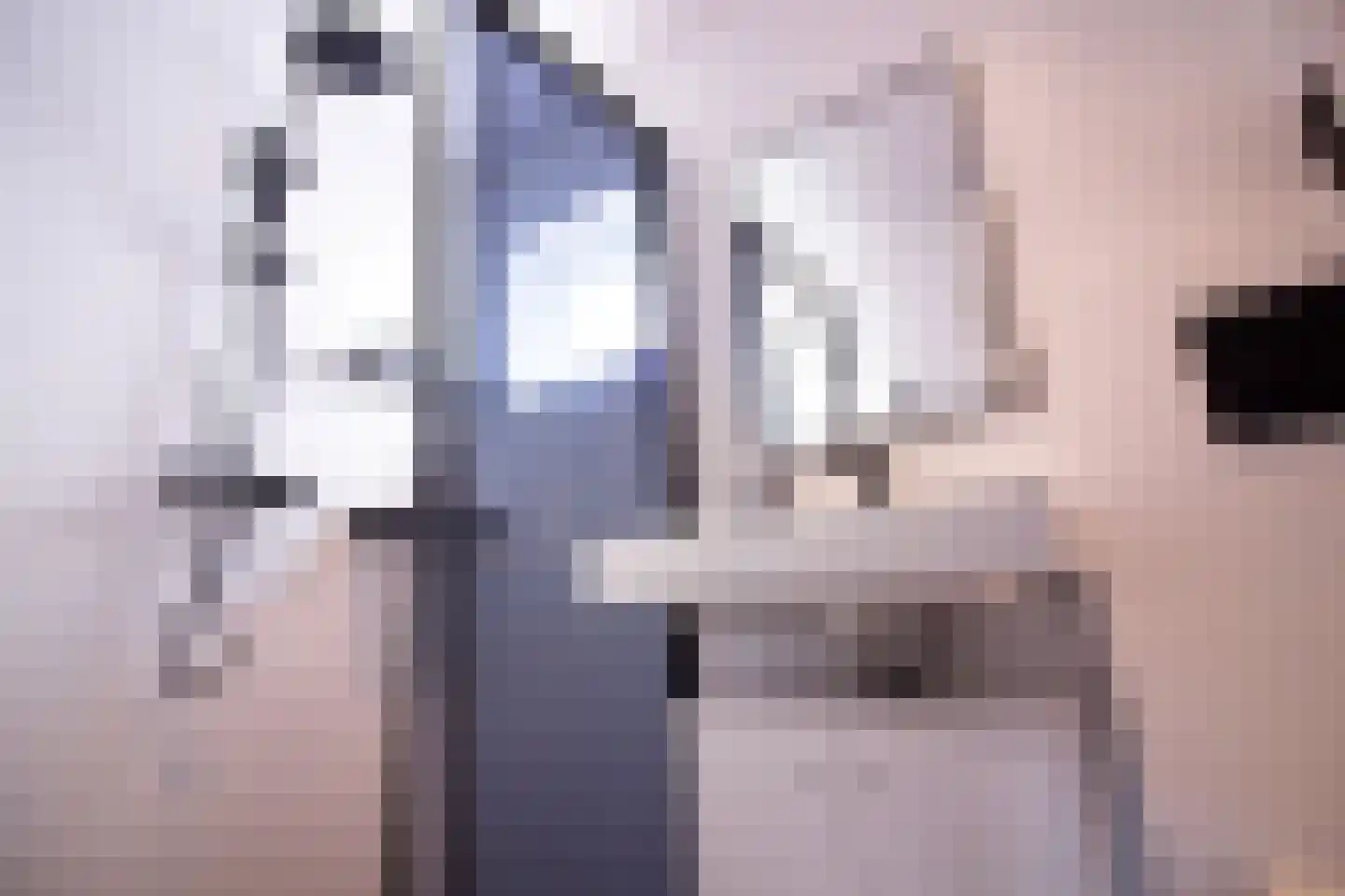 Meidoornlaan 12 Grootebroek thumbnail 63