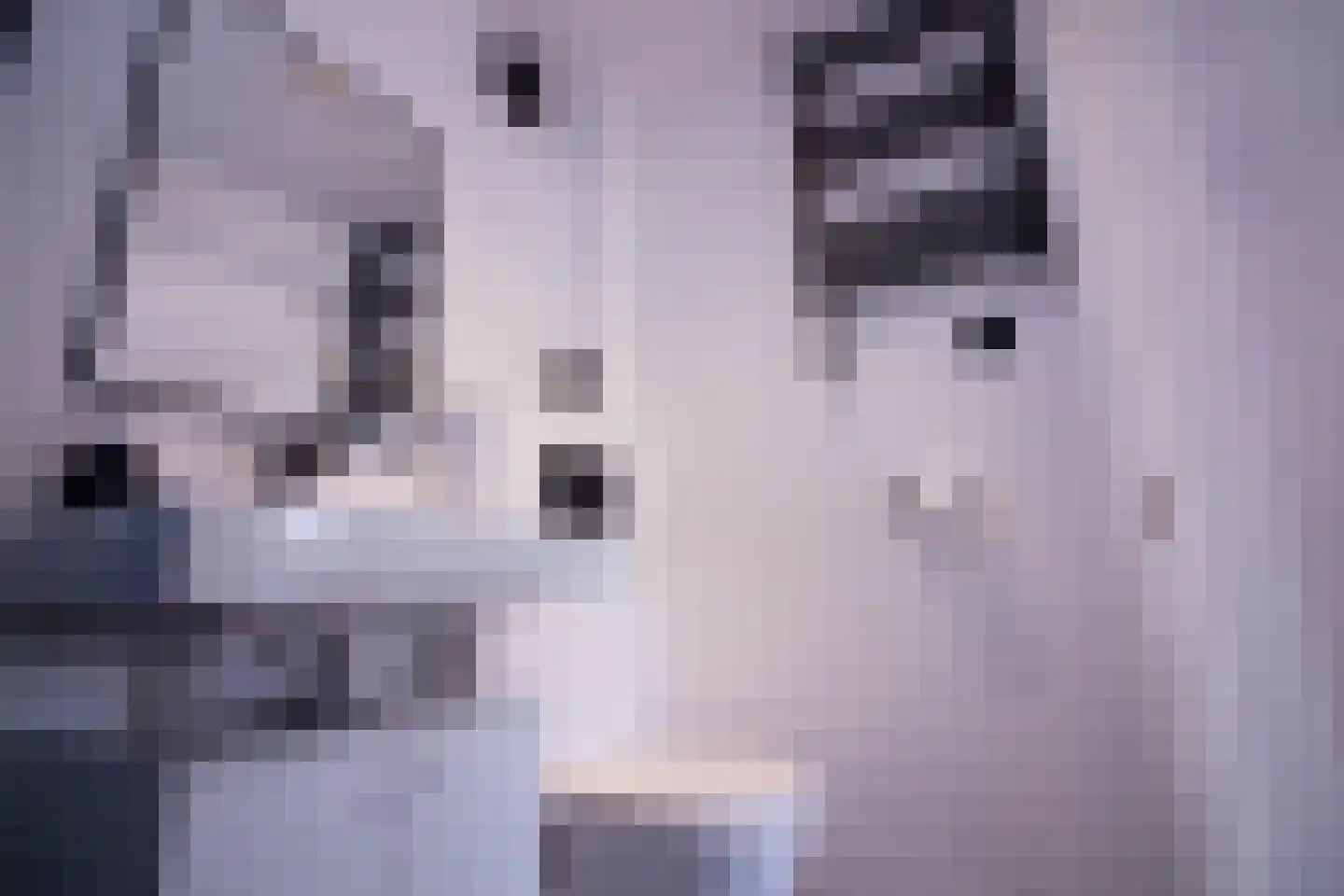 Meidoornlaan 12 Grootebroek thumbnail 64
