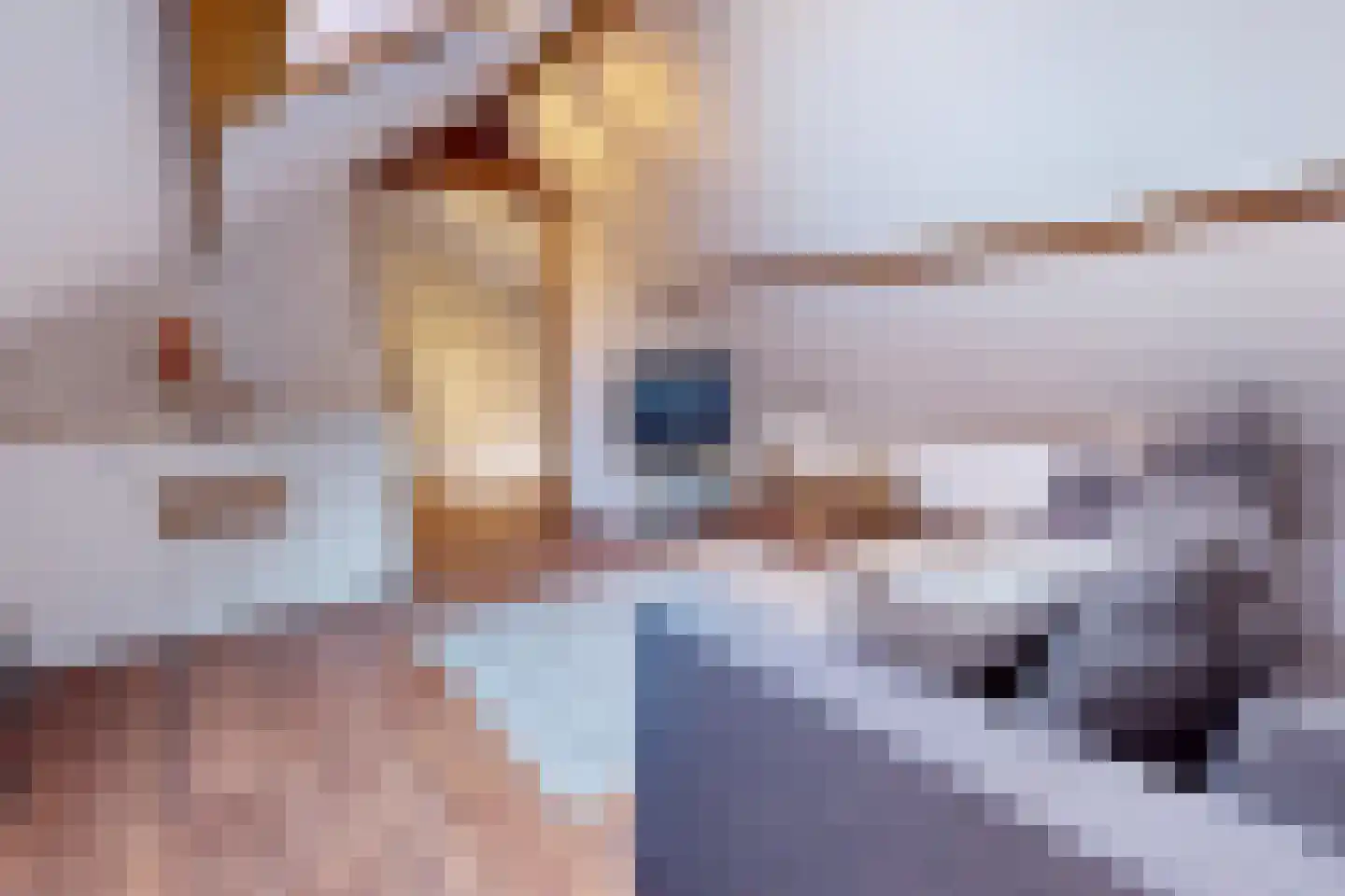 Meidoornlaan 12 Grootebroek thumbnail 70