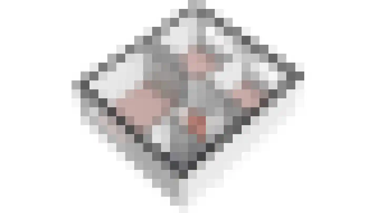 Meidoornlaan 12 Grootebroek thumbnail 83