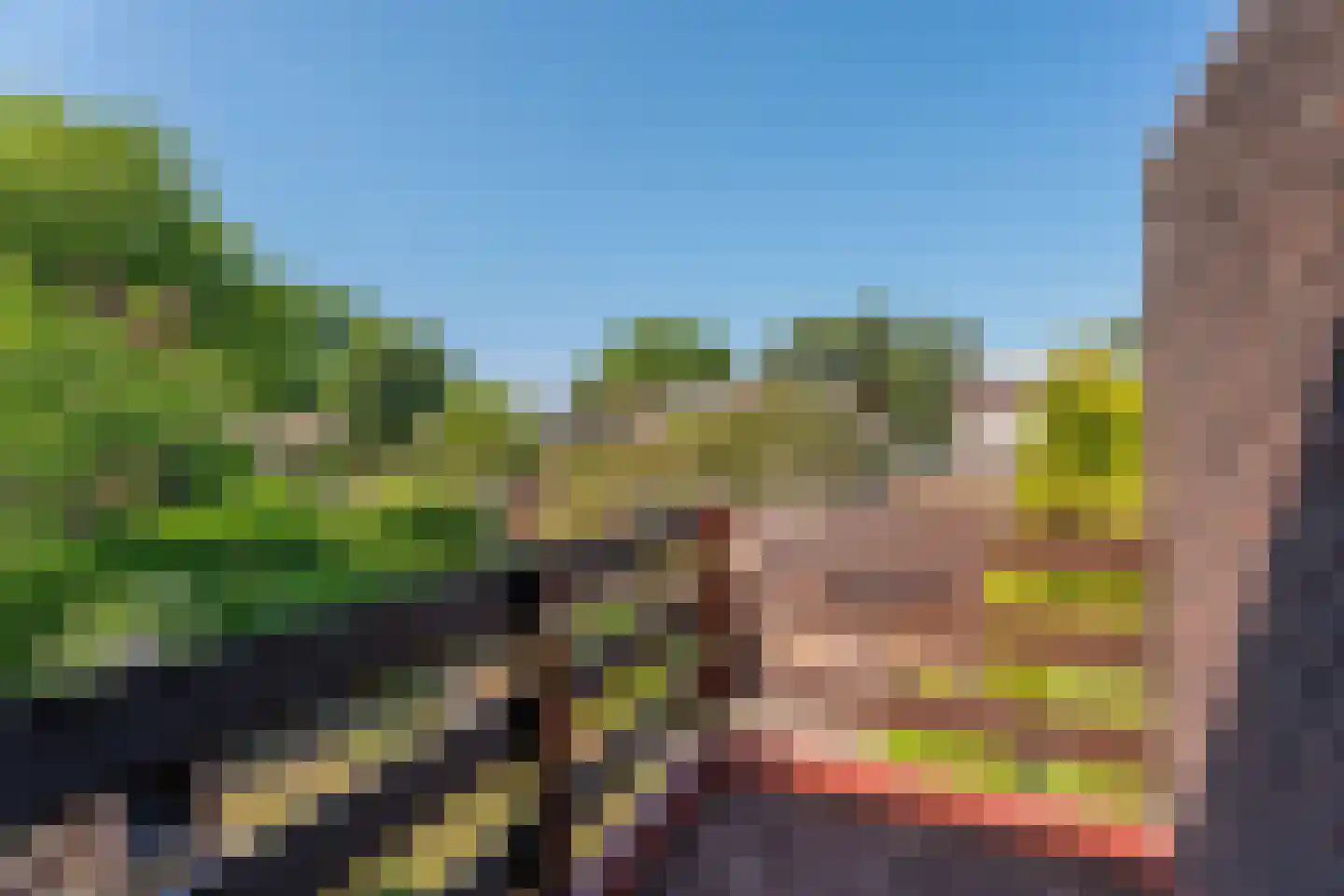 Meidoornlaan 12 Rijnsburg thumbnail 17