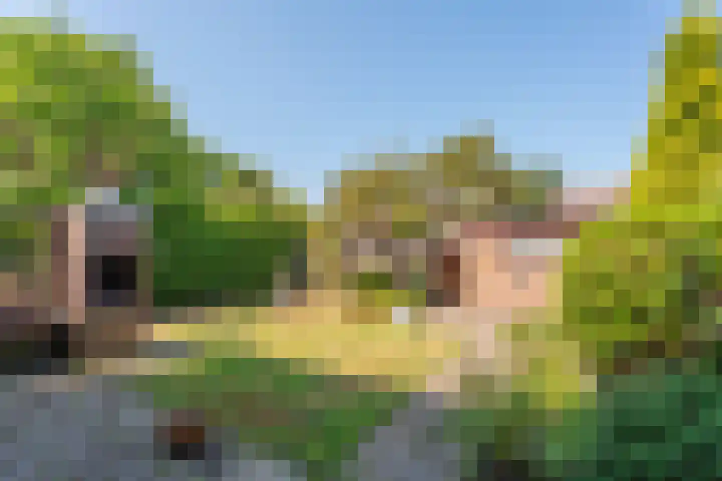 Meidoornlaan 12 Rijnsburg thumbnail 28