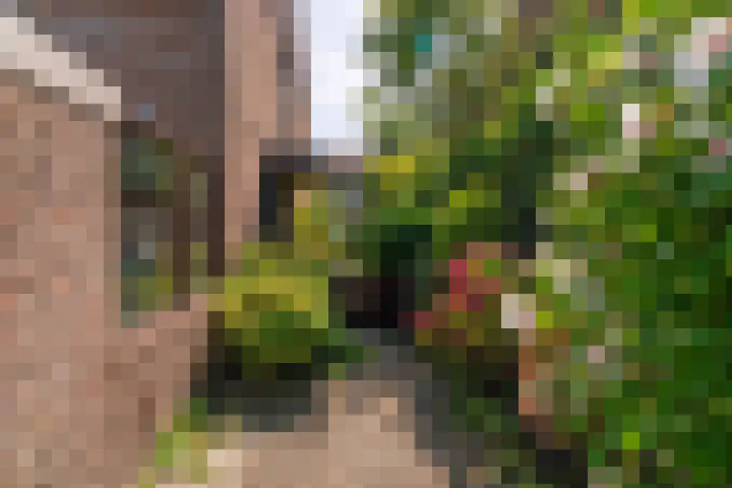 Meidoornlaan 12 Rijnsburg thumbnail 31