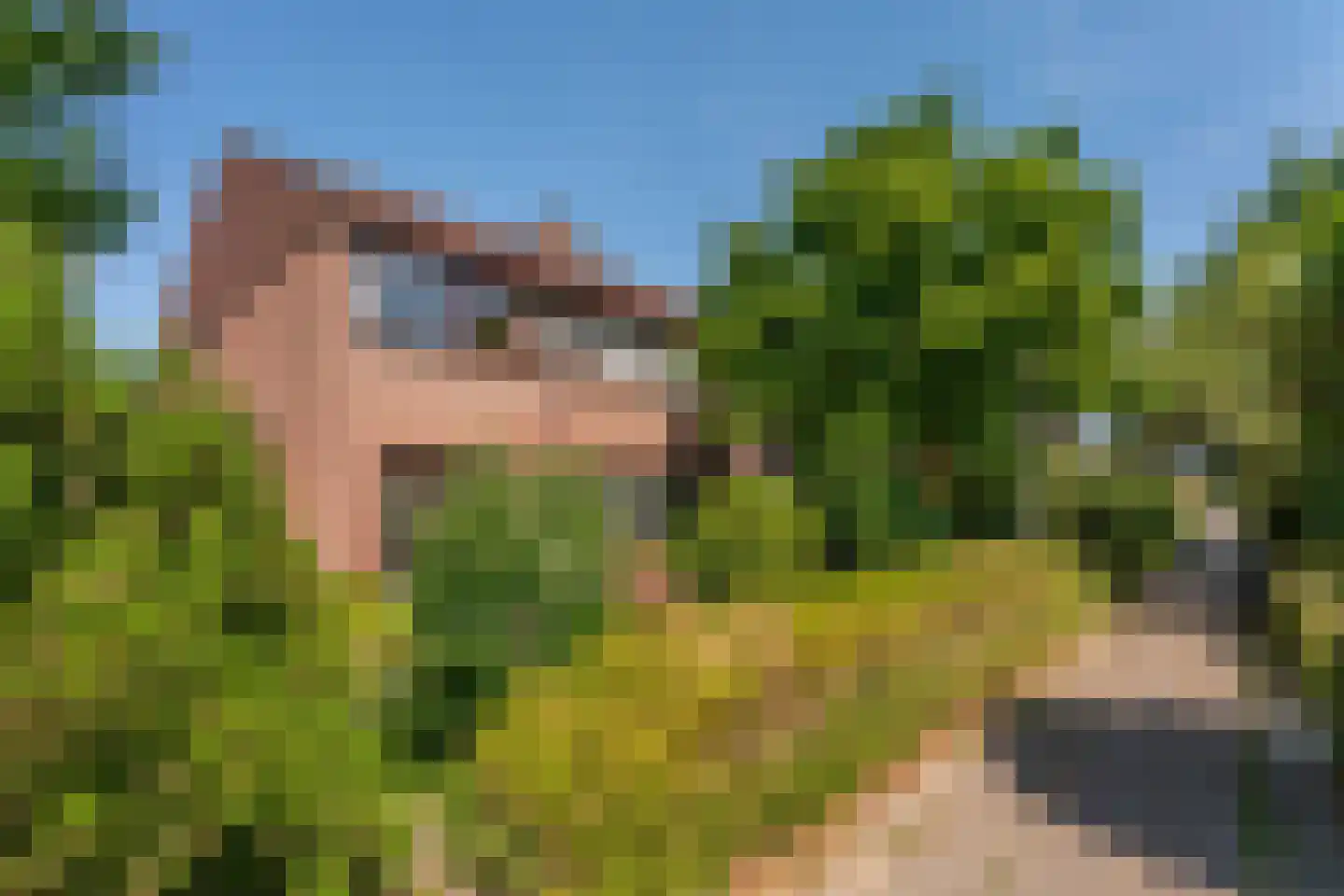 Meidoornlaan 12 Rijnsburg thumbnail 32