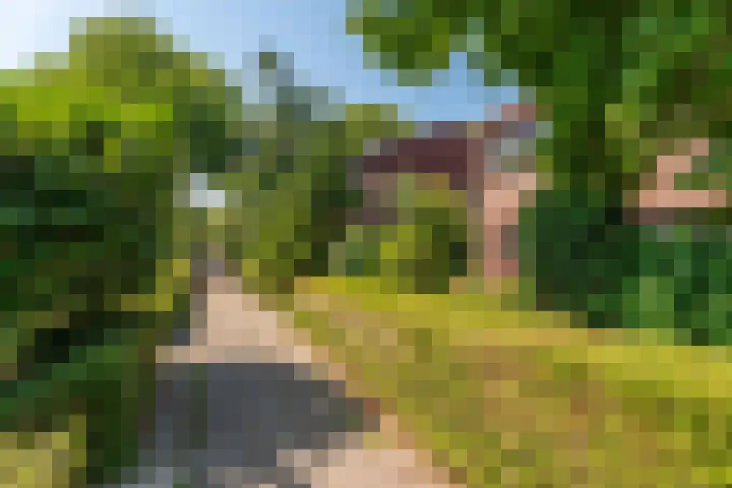 Meidoornlaan 12 Rijnsburg thumbnail 33