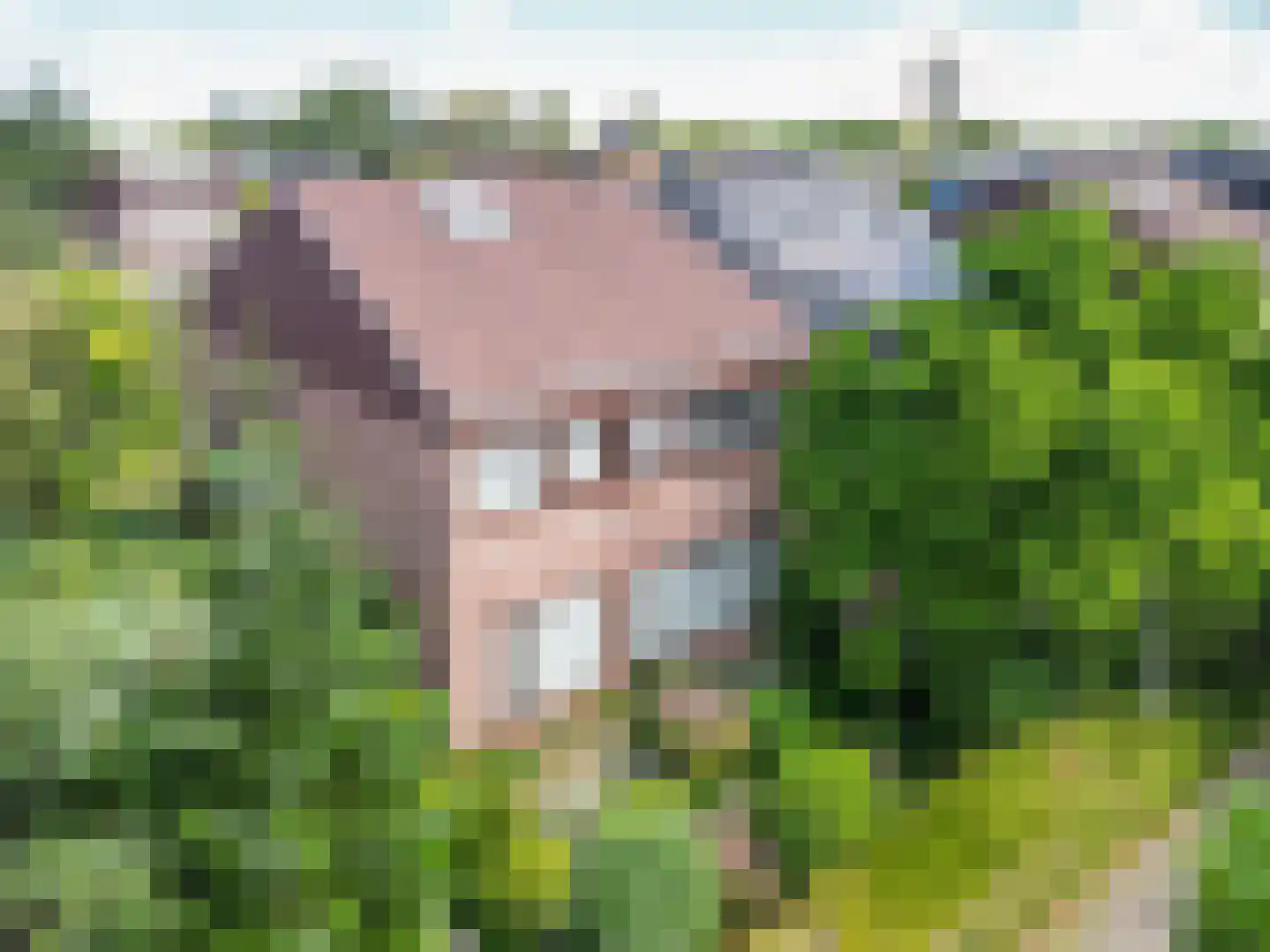 Meidoornlaan 12 Rijnsburg thumbnail 35