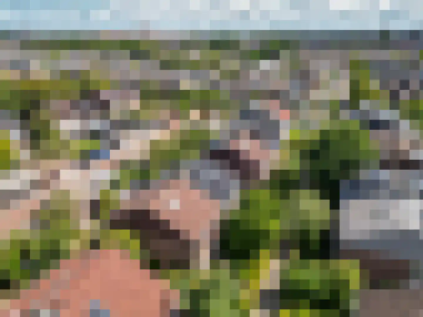 Meidoornlaan 12 Rijnsburg thumbnail 36