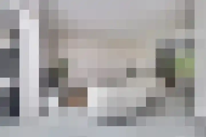 Meidoornlaan 13 Etten-Leur thumbnail 10