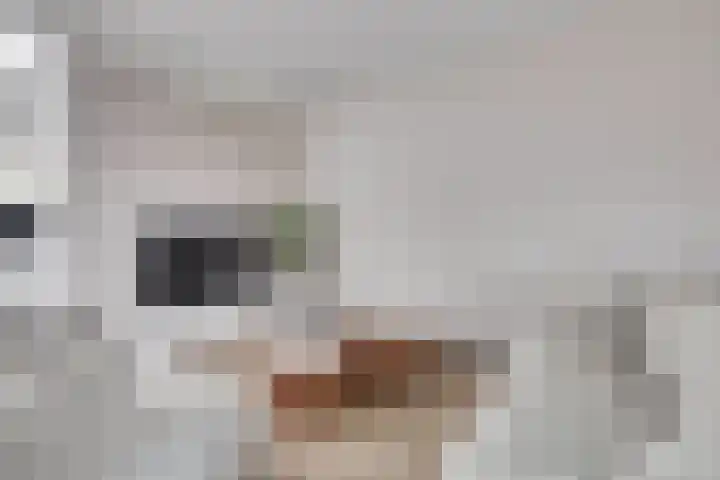 Meidoornlaan 13 Etten-Leur thumbnail 11