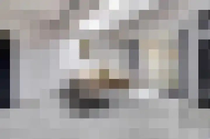 Meidoornlaan 13 Etten-Leur thumbnail 14