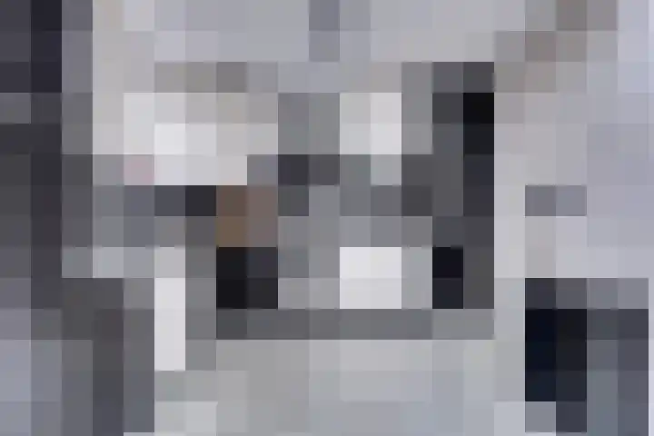 Meidoornlaan 13 Etten-Leur thumbnail 17