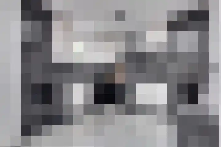 Meidoornlaan 13 Etten-Leur thumbnail 18
