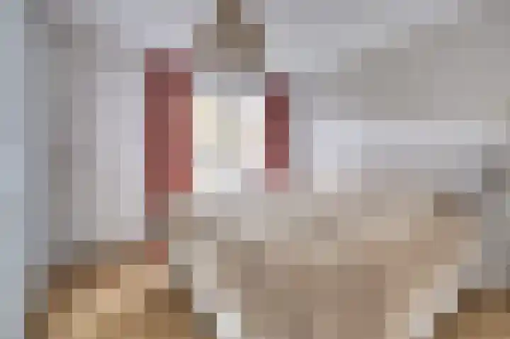 Meidoornlaan 13 Etten-Leur thumbnail 21
