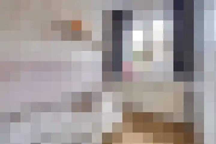 Meidoornlaan 13 Etten-Leur thumbnail 23