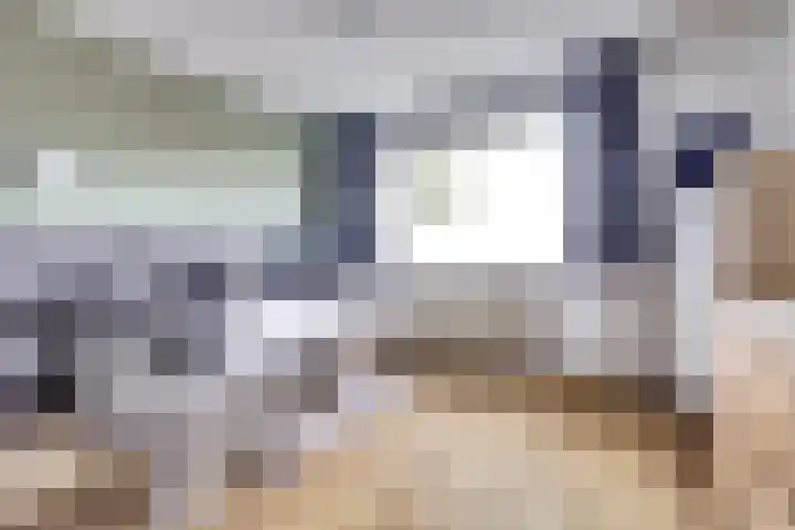 Meidoornlaan 13 Etten-Leur thumbnail 24