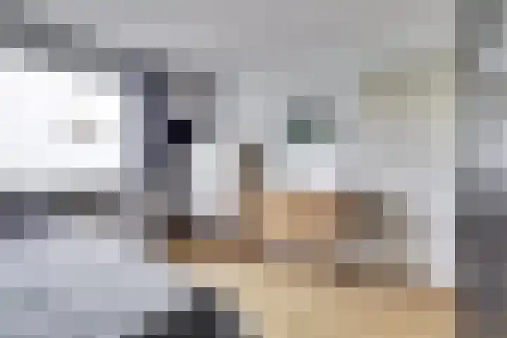 Meidoornlaan 13 Etten-Leur thumbnail 25