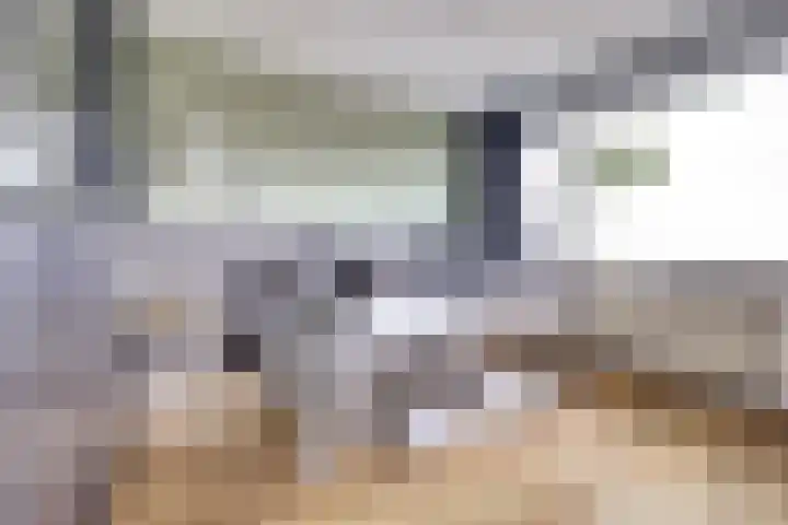 Meidoornlaan 13 Etten-Leur thumbnail 26