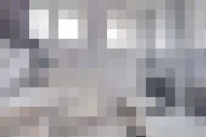 Meidoornlaan 13 Etten-Leur thumbnail 30