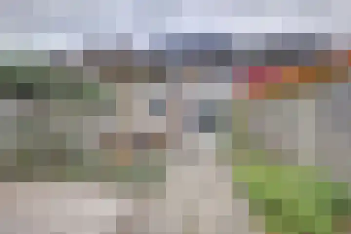 Meidoornlaan 13 Etten-Leur thumbnail 34