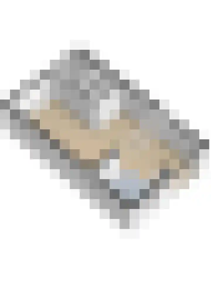 Meidoornlaan 13 Etten-Leur thumbnail 36