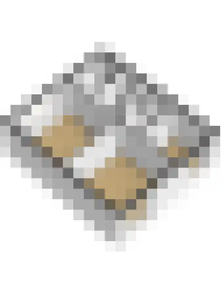 Meidoornlaan 13 Etten-Leur thumbnail 38