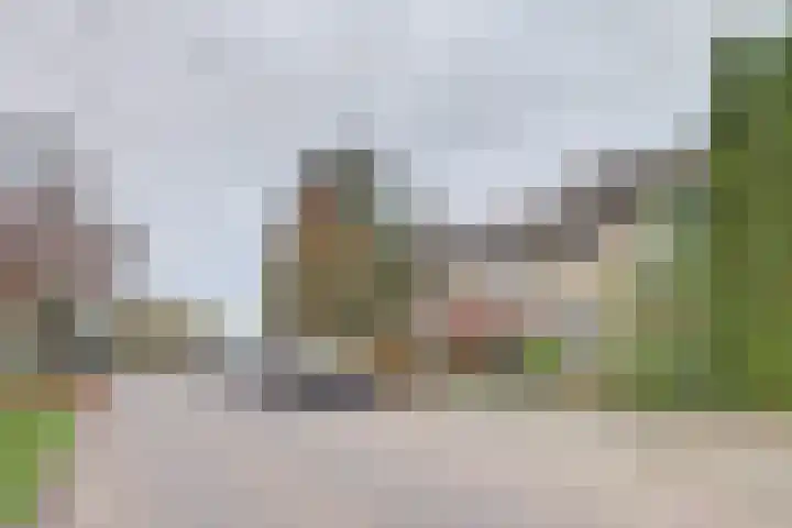 Meidoornlaan 13 Etten-Leur thumbnail 6