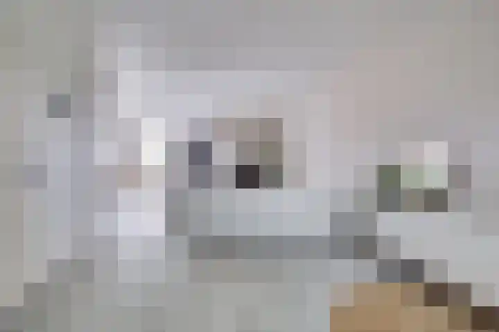 Meidoornlaan 13 Etten-Leur thumbnail 9