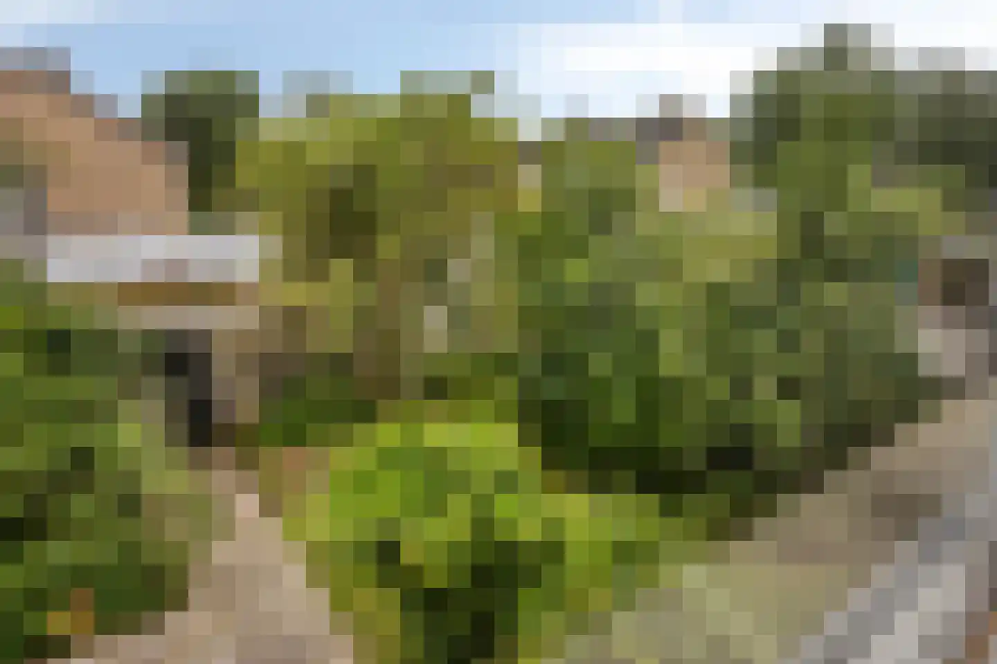 Meidoornlaan 13 Glimmen thumbnail 26