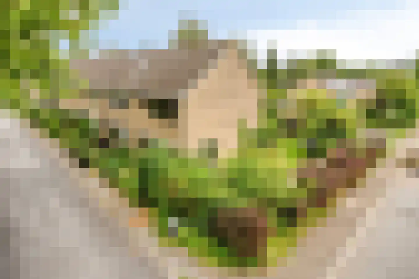 Meidoornlaan 13 Glimmen foto 3