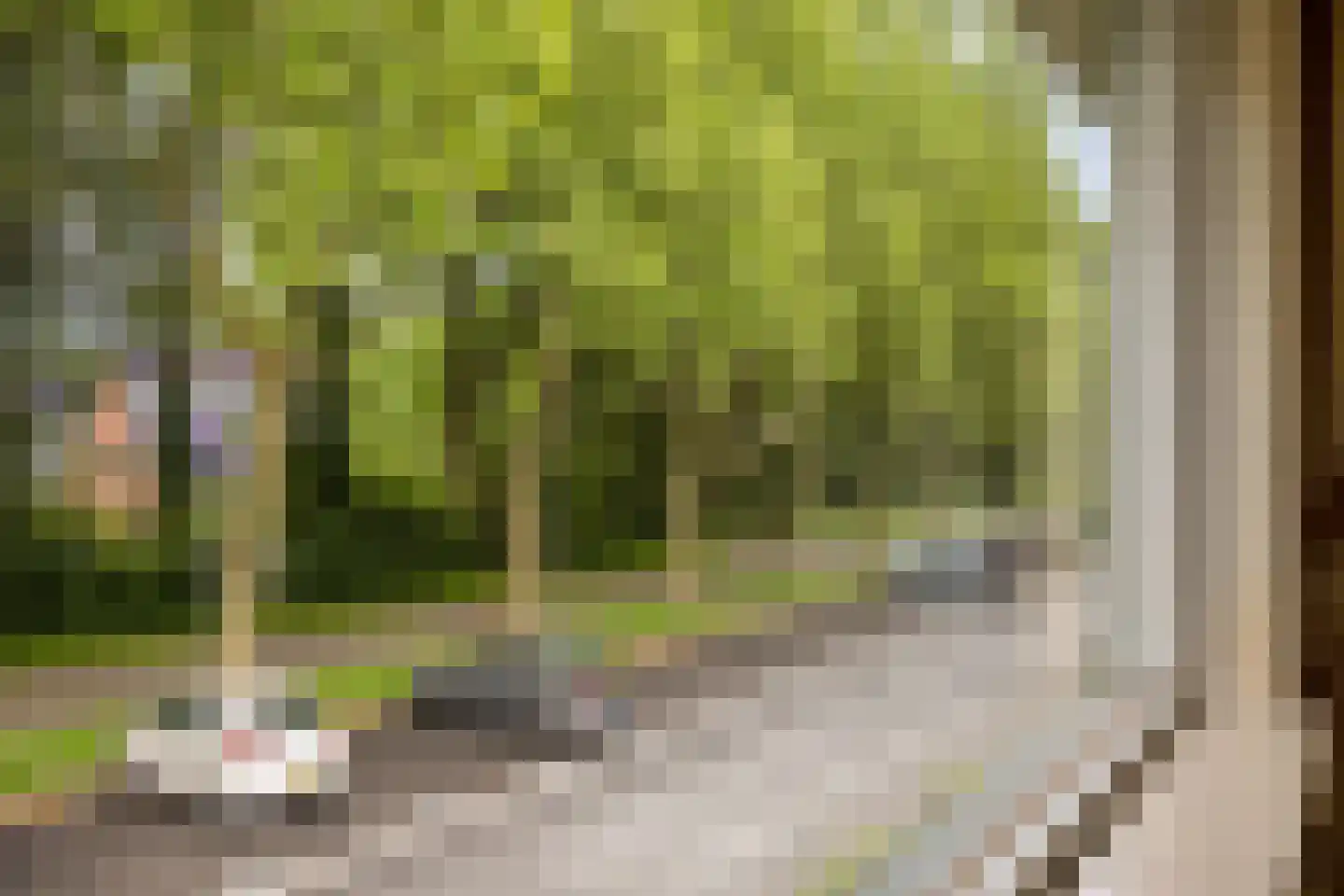 Meidoornlaan 13 Glimmen thumbnail 30