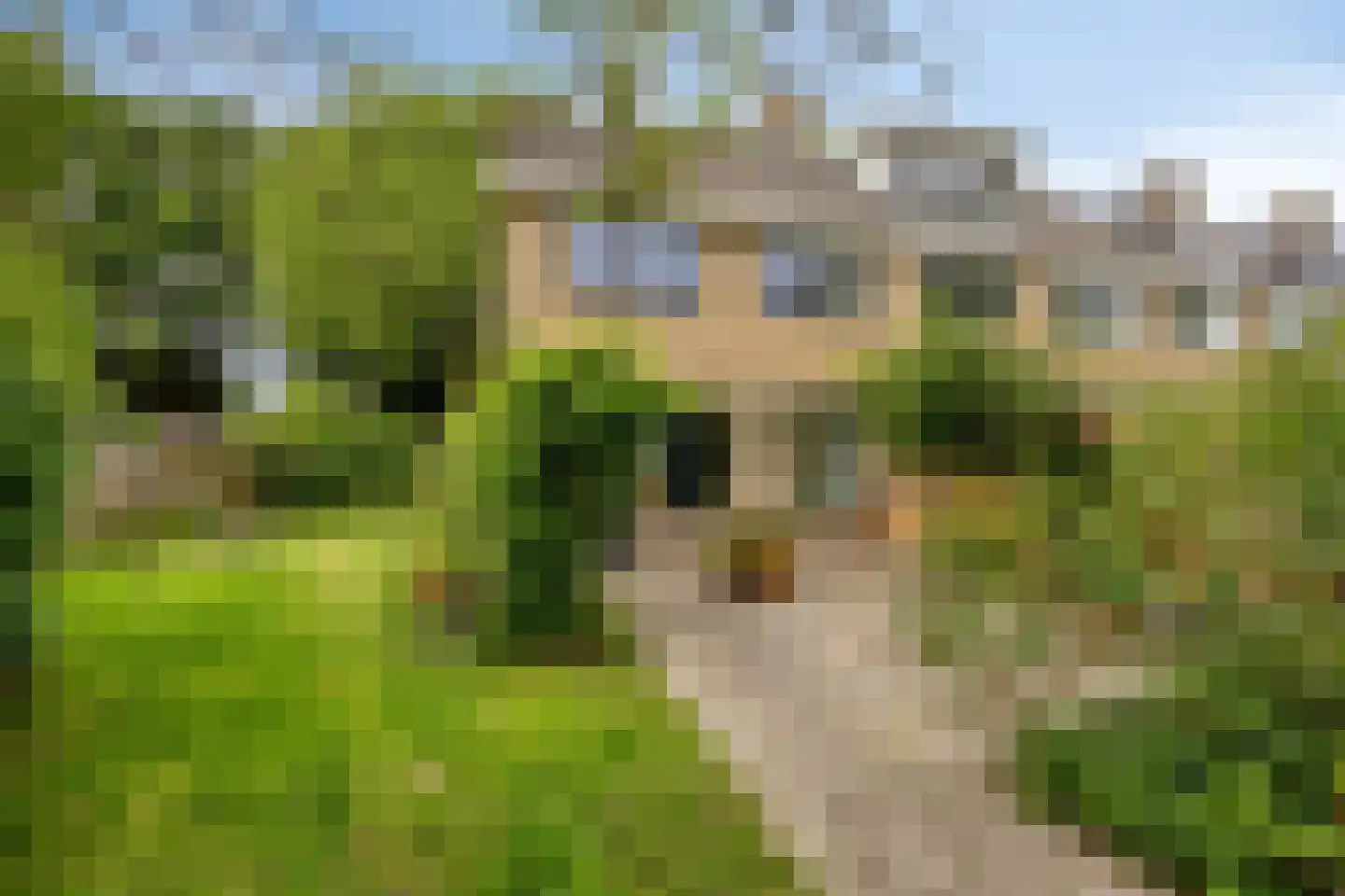 Meidoornlaan 13 Glimmen thumbnail 36