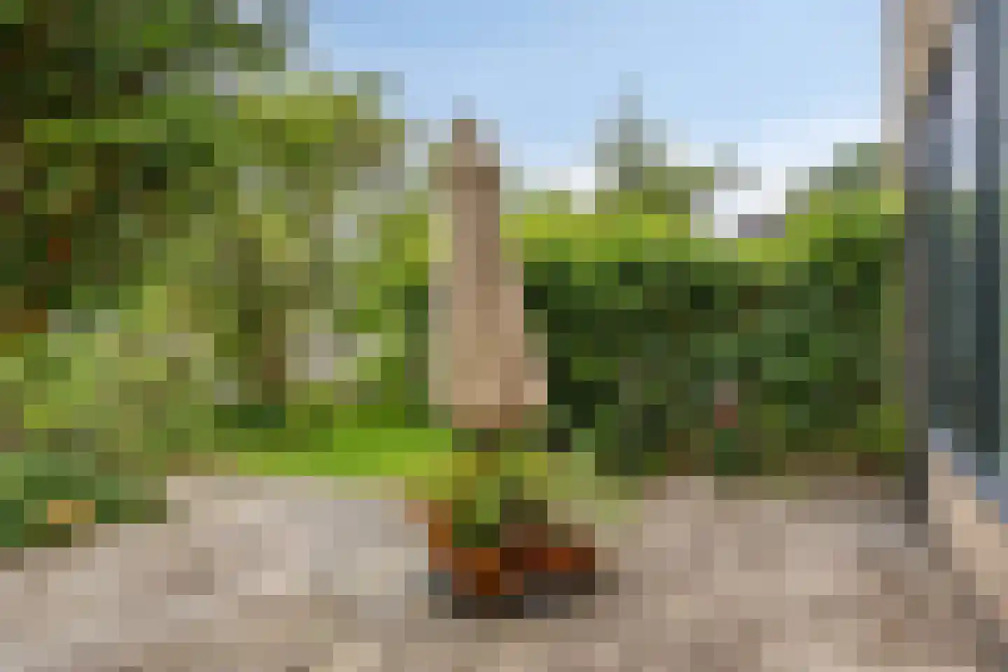 Meidoornlaan 13 Glimmen thumbnail 38